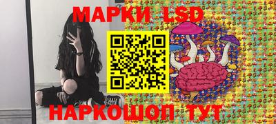 молекула духа Кулебаки